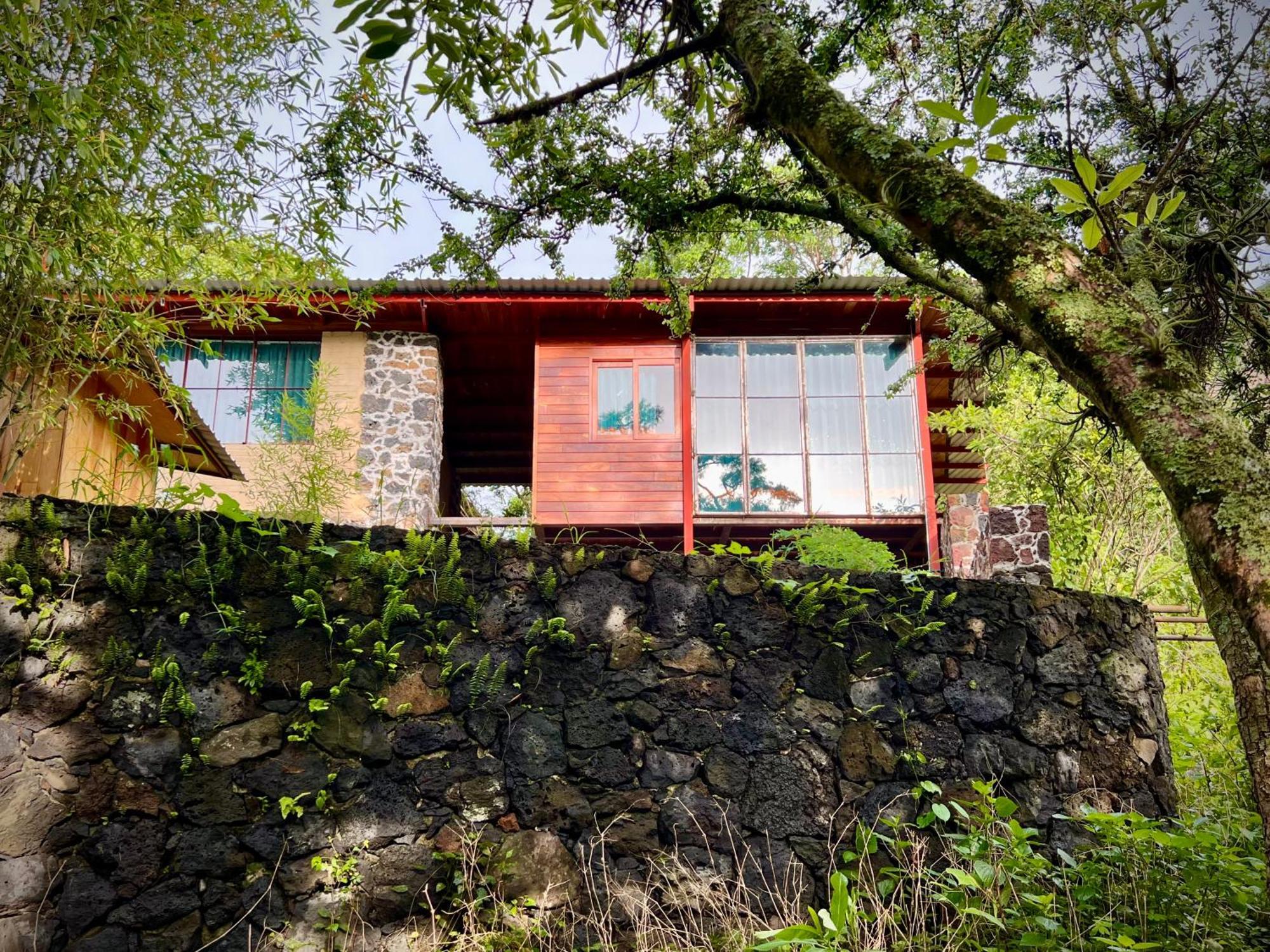 Santuario Ave Fenix-Cabanas Tepoztlan Ruang foto