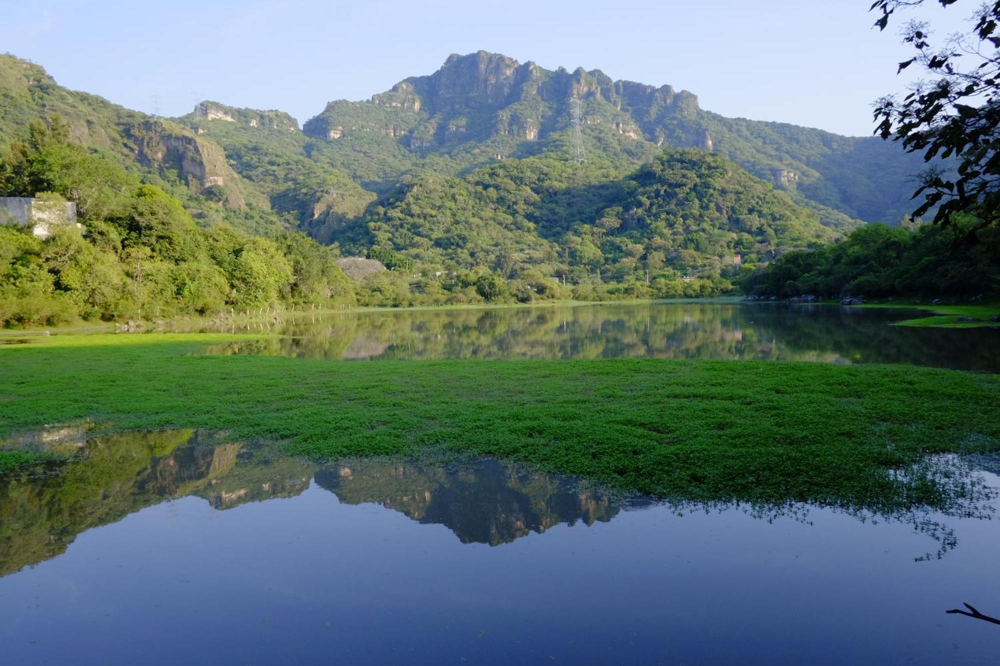 Santuario Ave Fenix-Cabanas Tepoztlan Bagian luar foto